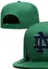 2023 All Team Fan's USA College Baseball Verstellbare Notre Dame Fighting Irish Hat On Field Mix Bestellgröße Closed Flat Bill Base Ball Snapback Caps Bone Chapeau