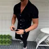 Heren DRIVE SHIRTS 2023 Zomerbedrijf Simplicity Style Lange Mouw Shirt Men Men Kleding Mode Formele dagelijkse vrijetijdsreis Wear Chemise Homme Slim