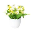 Decorative Flowers Elegant Artificial Flower Pot Landscaping Ornaments Plastic Fake Potted Plant Eco-friendly