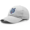 Ballkappen Neue Mode Baumwolle Männer Frauen Baseballmütze Militär Fans Wolf Stickerei Sommer Sonne Taktische Snapback Sport Dad Hüte EP0405 AA220517