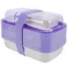 La vaisselle place la double couche en plastique de conteneurs de boîte à lunch pour le pique-nique d'école d'enfants