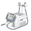 Electroporation Beauty Machine Portable Cool Hot Ems Machine Electroporador Profesional Electroporation Facial Body