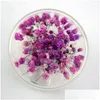 Flores decorativas grinaldas gipsophila em cúpula de vidro seco preservado flor eterna flor para aniversário dia dos namorados presente 9 cores gota dhfm7