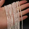 Beads Grade Natural Freshwater White Rice Pearl DIY Cute Elegant Charm Party Necklace Bracelet Jewelry Accessory Gift Making