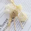 Decorative Flowers 1 Set White Immortal Flower Fragrance Stick Fireless Rattan Sticks Diffuser DIY Home Decor