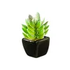 Decorative Flowers Artificial Green Succulent Black Ceramic Potted Plants Flower Bonsai Plant Garden Office Balcony Indoor Decoration