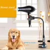 Maskiner Pet Dog Cat Hair Flower Support Clamp Mount For Dog Cat Grooming Salon Hands Free Pet Healt Dorkare Stand för brudgummen Y5GB