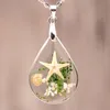 Natural Starfish Specimen Necklace Resin Pendant Necklace Fashion Accessories With Chain