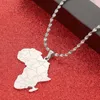 Chains Gold Silver Plated Stainless Steel Africa Map Pendant Necklaces Unisex Women Men African Ethnic Chain Cute Jewelry