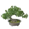 Dekorativa blommor Plast Lätt att rengöra Konst Trädgård Desktop Display Simulering Växter Heminredning Kontorsprydnader Konstgjorda Bonsai-träd i krukor