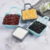 Piatti 10 Pz/set Piatto di Frutta Scatola di Immagazzinaggio Creativa Piatto Secco Snack Contenitore Multistrato Diviso Caramelle Dessert