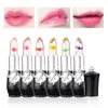 Feuchtigkeitscreme, Lipgloss, transparenter Gelee-Blumen-Lippenstift, Temperatur, Farbwechsel, wasserdichter Make-up-Lippenbalsam