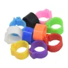 Anneaux 100pcs 10 mm Birds Pigeon Pied Anneaux Small Volet Foot Ring 10 couleurs Plastique Clip de colombe caille