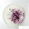 Ghirlande di fiori decorativi Gypsophila in cupola di vetro Fiore eterno essiccato conservato per il regalo di San Valentino di compleanno 9 colori Drop Dhfm7