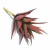 Fleurs décoratives simulées plantes succulentes bonsaï ventilateur de jade sans pot de fleurs fleur artificielle naturelle cactus de carthame
