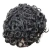 Горячие 24 -мм вьющиеся мужчины Toupee долговечны на 100% человеческие волосы мужские парики Протез Австралийский кружево с PU вокруг основания.