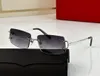 Womens Sunglasses For Women Men Sun Glasses Mens Fashion Style Protects Eyes UV400 Lens With Random Box And Case 0093