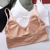 Bustiers korsetten sexy vrouwen push omhoog bh bhas fitness tops brassiere bralette vrouwelijke buis top ondergoed bralet