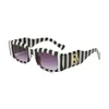 Projektant mody okulary przeciwsłoneczne marka okularów przeciwsłonecznych plażowych Mężczyźni i kobiety luksusowe szklanki Wysokiej jakości dwa style z pudełkiem 6010-6019 FashionBelt006