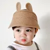 Berets Toddler Baby Infant Cap Sun Protection Breathable Straw Hat Summer Beach Girl Princess Hats Cute Ears Kids Caps Boy Bonnet 1-2 Y