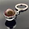 Keychains WG 1pc Steampunk Clock Po Keychain Keyring Time Gem Cabochon Glass Ball Pendant Metal Jewelry For Women