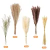 Decorative Flowers 70pcs Plant Stems Flower Bunch Garden Artificial Dust Reed Pampas Grass Natural Dried DIY Craft Wedding Home Party Long