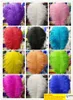 Wholesale100 pcs a lot Ostrich Feather Plume for Wedding Centerpieces table decoration 10 kinds of color can choose