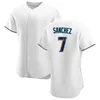 Team Baseball 9 Jean Segura Jerseys 24 Avidisail Garcia 4 Nick Fortes 10 Yuli Gurriel 58 Jacob Stallings 7 Jesus Sanchez 66 Tanner Scott Custom Name Number M-L-Y