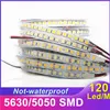 Remsor RGB LED -strip Light DC 12V AC 220V Soft Neon Sign Lamp 2835 5054 SMD TAPE 600LEDS för barskåp DIY jul