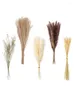 Decorative Flowers 70pcs Plant Stems Flower Bunch Garden Artificial Dust Reed Pampas Grass Natural Dried DIY Craft Wedding Home Party Long