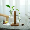 Nuevo jarrón de vidrio hidropónico, contenedor de vidrio para plantas, jarrón transparente con estante de madera, planta de escritorio, decoración para el hogar y la Oficina