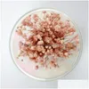 Ghirlande di fiori decorativi Gypsophila in cupola di vetro Fiore eterno essiccato conservato per il regalo di San Valentino di compleanno 9 colori Drop Dhfm7