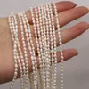 Beads Grade Natural Freshwater White Rice Pearl DIY Cute Elegant Charm Party Necklace Bracelet Jewelry Accessory Gift Making