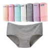 Calcinha feminina 7 pcs roupas íntimas mulheres plus size calcinha menina cuecas sexy lingeries calcinha shorts de algodão cuecas sólidas calcinha cueca indica 230518