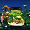 Аквариум, маленький аквариум, микровид, просмотр аквариума, ландшафтный дизайн, боевой аквариум, стеклянная экологическая бутылка, аксессуары для аквариума