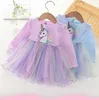 Abiti da ragazza Abbigliamento per bambini in autunno e in inverno per ragazze Vestito da cartone animato in pizzo Tutu Gonne Principessa Natale Casual