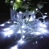 Strängar LED LED -batteridrivna stränglampor Vit julbröllopsfest år semester Fairy Light inomhus/utomhusdekorerad Stringsled