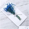 Greeting Cards Dried Flower Gypsophila Christmas Birthday Valentine Day Invitations Card Drop Delivery Home Garden Festive P Dh94K