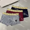 Fashion Printed Mens Underpants Designer Cotton Breathable Boxers Brand Stripe Underwewar Sexy Male Briefs 3pce/Box