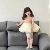 Vestidos de menina de verão Crianças roupas Tutu Dress Dress Dress Pink Dance Swan Skirt 2-9y