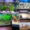 Dekorationer Hot Sale Mini Driftwood för Aquarium Natural Wood Branches Fish Tank Decorations Reptiles Tree Trunk Driftwood Blandad (10 Pack)