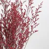 Dekoratif Çiçekler 30-40 cm Doğal Kristal Çim Ebedi Yaşam Gerçek Sonsuza Kadar Kurutulmuş Sevgili Çiçek Düğün Dekorasyonu