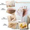 Dekoratif Çiçekler 70pcs Düğün Dekorasyonu Kabarık Doğal Fleurs Deco Mariage Pampas Çim Tails Kurutulmuş Buket Boho Ev Dekor