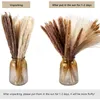 装飾的な花Luda Pampas Grass Dray Bouquets Set Boho Home Decor Room Wedding Party