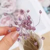 Decorative Flowers Mini Daisy Small Star Dried Bouquet Aesthetic Garden Home Room Decor Dry Little Chamomile Table Decoration For Wedding