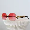 Designer zonnebril 7750 Dameskaatglazen houten polar frame mode zonnebril strand zonnebrillen vintage luxe eeuwige klassieke doos