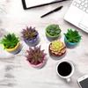 Decoratieve bloemen 6pcs Creatieve miniatuur Bonsai Synthetische hars Mini Pot Plant Hand geschilderd Fairy Garden ornament