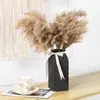 Decorative Flowers 5pcs Natural Plants Dried Bulrush Real Fluffy Pampas Grass For Decoration Party Wedding Accessories Bohemia Home Decor