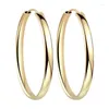 Hoop Earrings Women's S925 Sterling Silver Rose Gold Plated Ear Ring Graceful And Fashionable Color Big Personality B