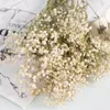 Dekoratif Çiçekler 100G Gypsophila Korunmuş Dekor Ev Aksesuarları Ofis Dekorasyon Düğün Hediyesi Konuk Bebeğin Nefesi